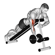 Dumbbell Spider Curl