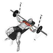 Wide Grip Bench Press