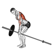 One Arm Barbell Row