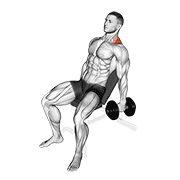 Incline Dumbbell Shrug