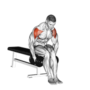 Bent Over Seated Lateral Raise