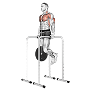 Weighted Triceps Dip