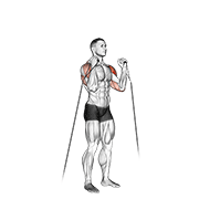 Alternating Cable Shoulder Press