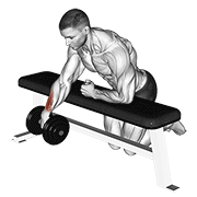 One Arm Dumbbell Wrist Curl