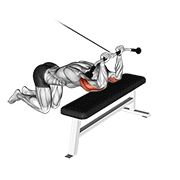 Kneeling Cable Triceps Extension