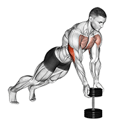 Close Grip Push-up on Dumbbells
