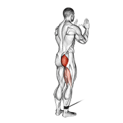 Single Leg Cable Kickback