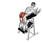 Reverse Hyperextension Machine