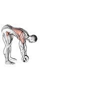 Standing Ab Wheel