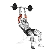 Incline EZ Bar Triceps Extension