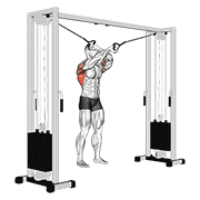 Cross Cable Pulldown
