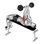Decline Skull Crusher