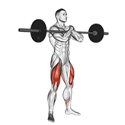 Sumo Zercher Squat