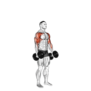 Hammer Curl Press