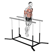 Street Workout Triceps Extension
