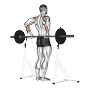 Barbell Rear Delt Row