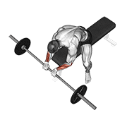 Seated Reverse Wrist Curl