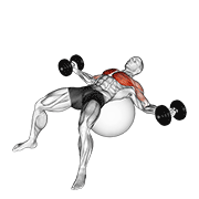 Stability Ball Dumbbell Fly