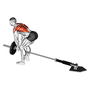 V-Bar Cable Row