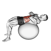 Stability Ball Crunch