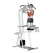 Assisted Supinated Pull-up