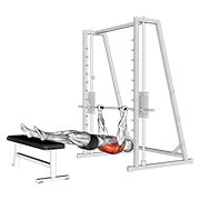 Smith Machine Inverted Row with Bench