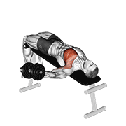One Arm Decline Dumbbell Fly