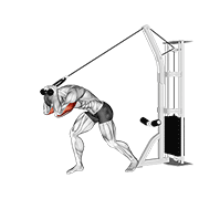 Overhead Rope Triceps Extension