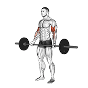Wide Grip Barbell Curl