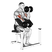 Alternating Dumbbell Preacher Curl