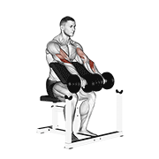 Reverse Preacher Dumbbell Curl