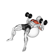 Stability Ball Dumbbell Press