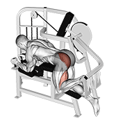Glute Kickback Machine