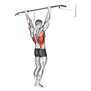 Behind the Neck Pull-up