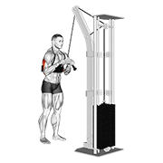 V-Bar Triceps Extension