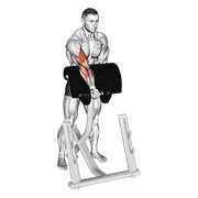 One Arm Preacher Zottman Curl