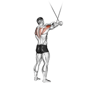 Reverse Cable Fly