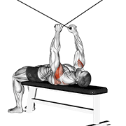 Lying Reverse Cable Fly