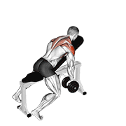 Incline Dumbbell Y Raise