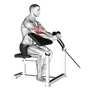 Rope Cable Preacher Curl