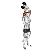 Standing Dumbbell Triceps Extension