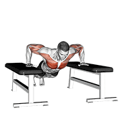 Plyometric Push-up