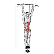 Weighted Hanging Leg Raise
