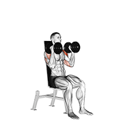 One Arm Seated Dumbbell Press