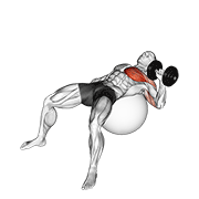 Stability Ball Dumbbell Press