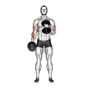 Cross Hammer Curl