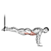 Hanging Reverse Crunch