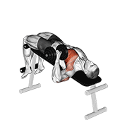 One Arm Decline Dumbbell Press
