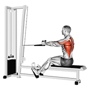 Rope Seated Cable Row