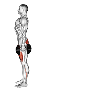 Dumbbell Reverse Lunge